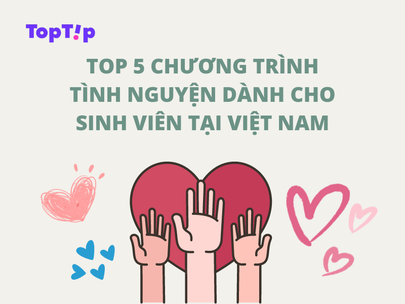 TopTip Top 7 Chương Trình Tình Nguyện Dành Cho Sinh Viên Tại Việt Nam